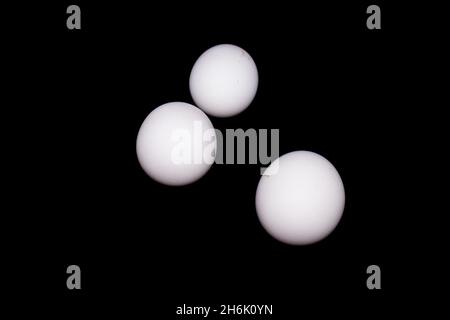 Eier auf schwarzem Hintergrund mit selektivem Fokus Stockfoto
