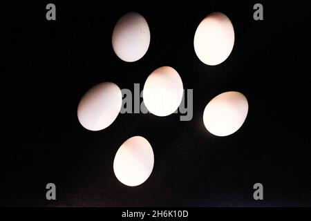 Eier auf schwarzem Hintergrund mit selektivem Fokus Stockfoto