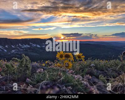 Wunderschöne Aussicht auf die Berge, die unter dem Sonnenuntergang im Park glänzen Stockfoto