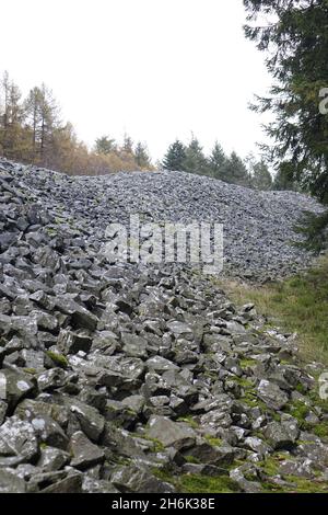 Blick auf die beeindruckende keltische Hügelburg Otzenhausen (Ringmauer, Hunnenring), Otzenhausen, Nonnweiler, Saarland, Deutschland Stockfoto