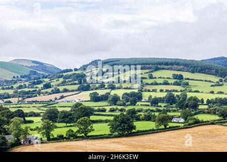 Blick auf Moel Famau in der Clydian Range von der Klippenwanderung im Loggerheads Country Park, Wales, Großbritannien, Stockfoto