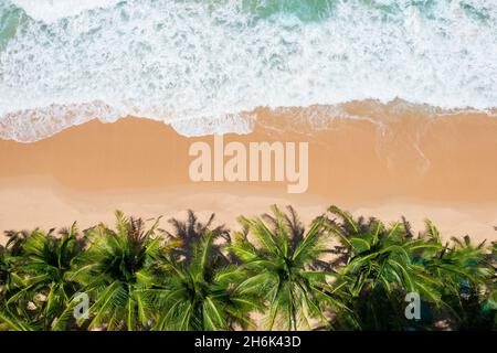 Luftaufnahme von oben wunderschöner tropischer Strand mit weißem Sand, Kokospalmen und Meer. Blick von oben leerer und sauberer Strand. Wellen krachen leerer Strand Stockfoto