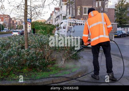 Gärtner sprüht Chemikalien auf das Blumenbeet auf der Straße in Den Haag, Niederlande Stockfoto