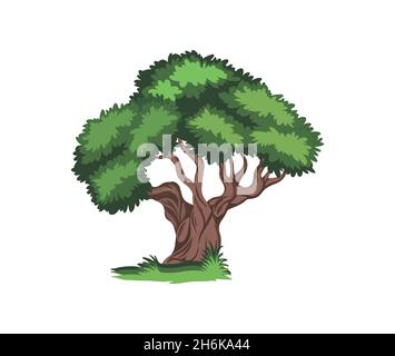 Ein Vektor-Illustration-Satz von isolierten Cartoon Tree Illustration Vektor-Zeichen Stock Vektor