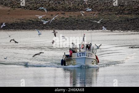 Das Fischerboot Sandella fährt an der Südküste Englands in den Hafen, umgeben von hungrigen Heringsmöwen. Stockfoto