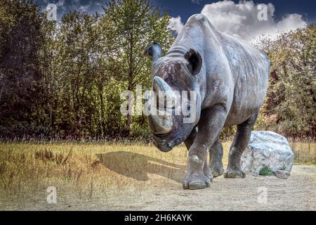 Ein großes Porträt eines Nashorns, das durch ein Feld geht Stockfoto