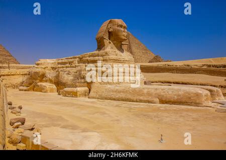 Das große Denkmal von Sphinx in Giza, Kairo, Ägypten Stockfoto