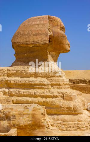 Das große Denkmal von Sphinx in Giza, Kairo, Ägypten Stockfoto