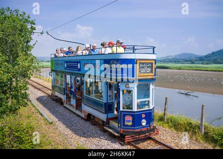 Historische Straßenbahn auf der Strecke neben den Seaton Feuchtgebieten auf der historischen Seaton Straßenbahn Seaton Devon England GB Europa Stockfoto