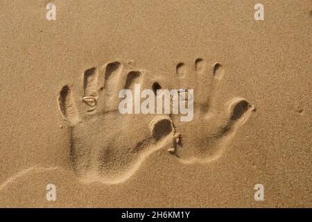 Zwei linke Handabdrücke auf dem Sand mit Eheringen am Sommerstrand. Frisch vermählte Hände Formen. Konzept der Flitterwochen Stockfoto