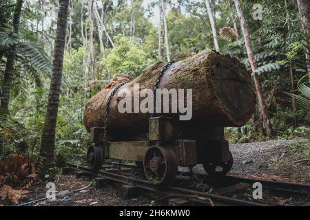 Ein riesiger Kauri logge auf einem alten Eisenbahnwagen in Karamatura, Neuseeland, Stockfoto