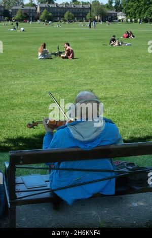 Auf der Parkbank sitzender Mann mit Kopfhörern, der Geige spielt, während junge Leute auf Gras sitzen und sich auf Jesus Green Cambridge England entspannen Stockfoto