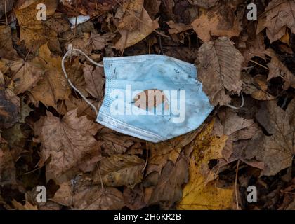 München, Deutschland. November 2021. Ein gebrauchter Mund-Nase-Schutz liegt in den Herbstblättern auf dem Bürgersteig. Kredit: Peter Kneffel/dpa/Alamy Live Nachrichten Stockfoto