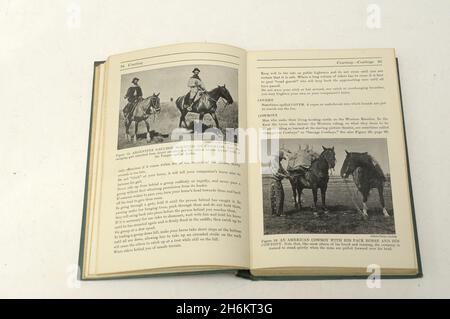 Altes Pferdebuch , das Reiters enciclopedia von Margret Cabell Self 1946 Stockfoto