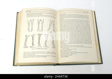 Altes Pferdebuch , das Reiters enciclopedia von Margret Cabell Self 1946 Stockfoto