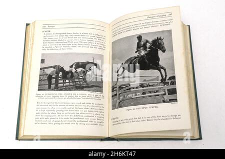 Altes Pferdebuch , das Reiters enciclopedia von Margret Cabell Self 1946 Stockfoto