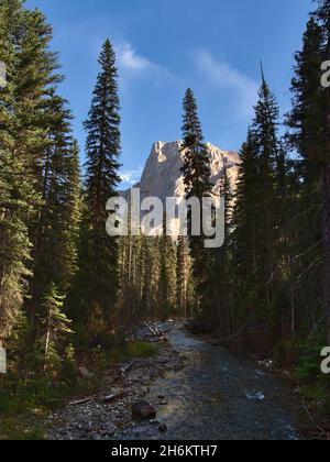 Schöner Blick auf den Emerald River im Yoho National Park, British Columbia, Kanada in den Rocky Mountains am Nachmittag, wenn das Sonnenlicht zwischen den Bäumen fließt. Stockfoto