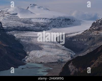 Blick auf den majestätischen Saskatchewan-Gletscher unterhalb des Castleguard Mountain, Teil des Columbia Icefield, von Parker Ridge im Banff National Park, Kanada. Stockfoto