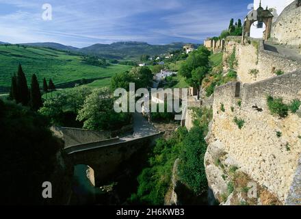 Blick auf die Schlucht El Tajo unterhalb von Ronda, Malaga, Andalusien, Spanien Stockfoto