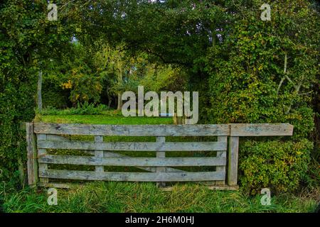 Verwitterte alte traditionelle hölzerne Farm Tor, flankiert von grünen Bäumen und Sträuchern, bietet einen Durchsehen zu einer schönen Wiese, flankiert von Bäumen. Stockfoto