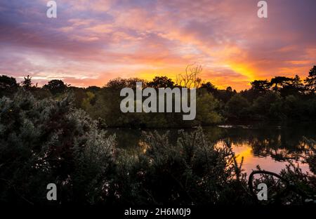 Sonnenaufgang über dem Cemetery Lake am Southampton Common im Herbst. Southampton, England. Stockfoto
