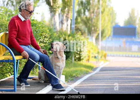 Blinder älterer Mann mit Blindenhund im Freien Stockfoto