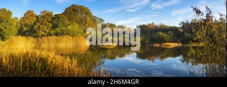 Die ornamentale See auf Southampton Gemeinsame im Herbst. Southampton, England. Stockfoto