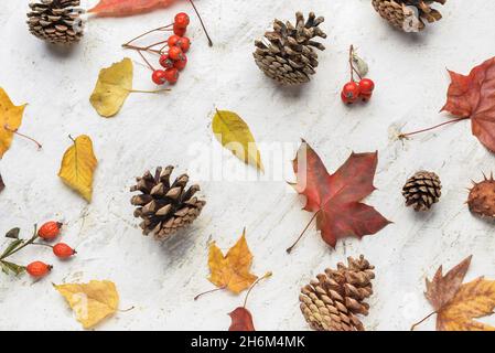 Herbstkomposition mit trockenen Blättern auf hellem Hintergrund Stockfoto