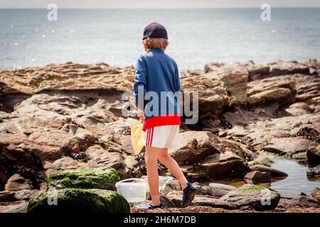 Kaukasische Kinderjagd in Felsenbecken nach Krabben Stockfoto