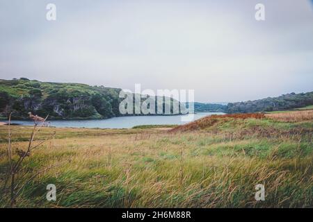 Grünfläche und Pool, Helston, Cornwall, Großbritannien Stockfoto