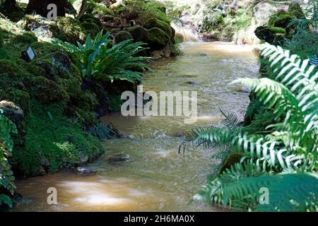 Kleiner Wasserfall mit Kaskaden in Fournas auf den azoren Stockfoto