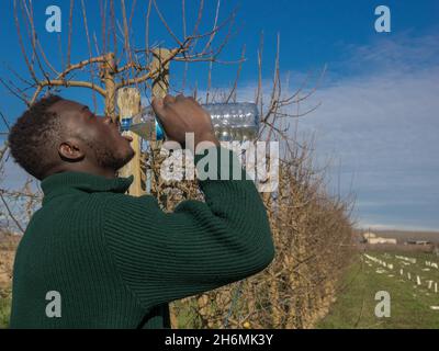 Der Bauer trinkt Wasser, zwischen Obstbäumen, macht nach der Arbeit eine Pause. Afrikanischer Landwirt Stockfoto