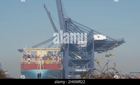 Ein Paar, das mit einem riesigen Containerschiff am Hafen von Felixstowe von Landguard Point, River Orwell, Suffolk, England, Vereinigtes Königreich Stockfoto