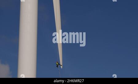 Man in Harness abseilen an der Spitze des Rotorblatts der Windenergieanlage, wird gewartet, höchste gewerbliche Windenergieanlage mit 126 Metern im Vereinigten Königreich Stockfoto
