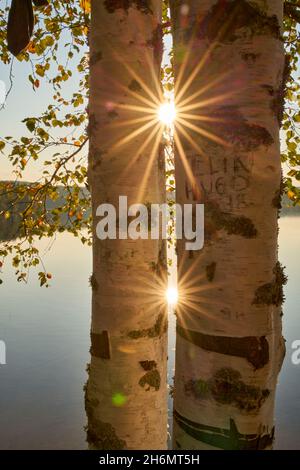 Landschaftlich schöner Blick auf den schönen Frühlingsuntergang auf einem glänzenden See mit grünen Ästen, Birken, Büschen, Gras, goldenen Sonnenstrahlen, Ruhiges Wasser, tiefblau bewölkt Stockfoto