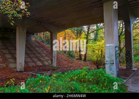 Die Brücke, die die Blackstock Road über den Meers Brook zwischen Leeshall Wood und Rollestone Wood führt, einem alten Waldgebiet im Gleadless Valley, Sheffield. Stockfoto