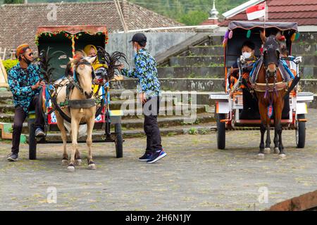 Dokar oder Gig für den Tourismus hat begonnen, in der Gegend des Mount Merapi Wanderweg, Selo zu betreiben. BOYOLALI CENTRAL JAVA, INDONESIEN - 7. NOVEMBER 202 Stockfoto