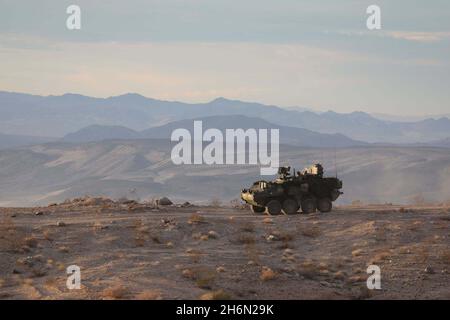 Soldaten der US-Armee aus dem 2. Bataillon, dem 12. Infanterie-Regiment, dem 2. Stryker Brigade Combat Team, der 4. Infanterie-Division, manövrieren einen Stryker während der entscheidenden Aktionsdrehung 22-02 auf dem National Training Center in Fort Irwin, Kalifornien, 1. November. Foto der US-Armee von Sgt. Gosselin Ryan, Operations Group, National Training Center. Stockfoto