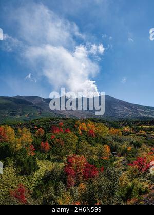 Herbstlaub vom Mt.Tokachi Observatory, Hokkaido, Japan Stockfoto