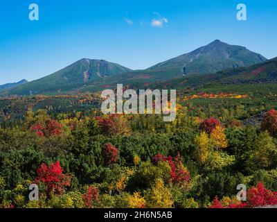 Herbstlaub vom Mt.Tokachi Observatory, Hokkaido, Japan Stockfoto