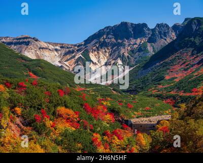 Herbstlaub, Tokachidake Onsen, Hokkaido, Japan Stockfoto