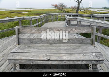 Die Holzbank in der Nähe von Assateague Island, Maryland, USA Stockfoto