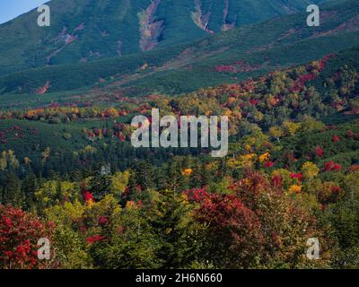 Herbstlaub vom Mt.Tokachi Observatory, Hokkaido, Japan Stockfoto