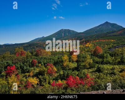 Herbstlaub vom Mt.Tokachi Observatory, Hokkaido, Japan Stockfoto