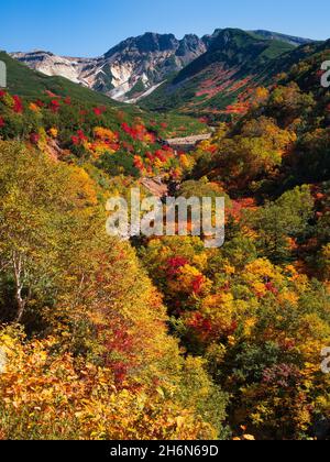 Herbstlaub, Tokachidake Onsen, Hokkaido, Japan Stockfoto