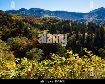 Herbstlaub, Tokachidake Onsen, Hokkaido, Japan Stockfoto