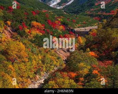 Herbstlaub, Tokachidake Onsen, Hokkaido, Japan Stockfoto