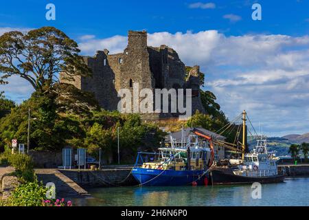 King John's Castle, Carlingford Village, County Meath, Irland Stockfoto