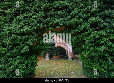 11. November 2021, Brandenburg, Fürstenberg/Havel/OT Himmelpfort: Die teilweise efeubewachsenen Ruinen des Zisterzienserklosters am Ufer des Haussees. Das Kloster 'Coeli Porta (Himmelstor)' wurde im 13. Jahrhundert von Markgraf Albrecht III. Gegründet Die Klosterkirche, eine Brauerei, Bauernhöfe und die Klostermauern sind teilweise erhalten und als Baudenkmäler geschützt. Foto: Soeren Sache/dpa/dpa-Zentralbild Stockfoto