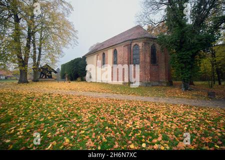 11. November 2021, Brandenburg, Fürstenberg/Havel/OT Himmelpfort: Die teilweise efeubewachsenen Ruinen des Zisterzienserklosters am Ufer des Haussees. Das Kloster 'Coeli Porta (Himmelstor)' wurde im 13. Jahrhundert von Markgraf Albrecht III. Gegründet Die Klosterkirche, eine Brauerei, Bauernhöfe und die Klostermauern sind teilweise erhalten und als Baudenkmäler geschützt. Foto: Soeren Sache/dpa/dpa-Zentralbild Stockfoto